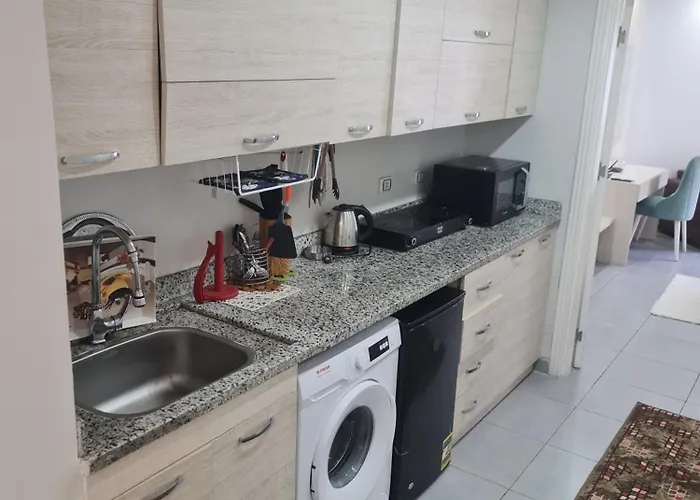 Apartment With Private At Scandic